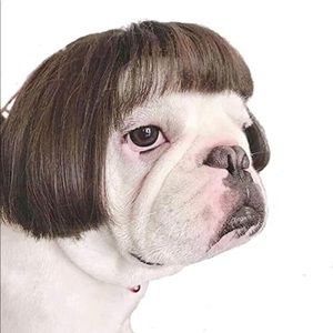 Meet your Posher, Christian